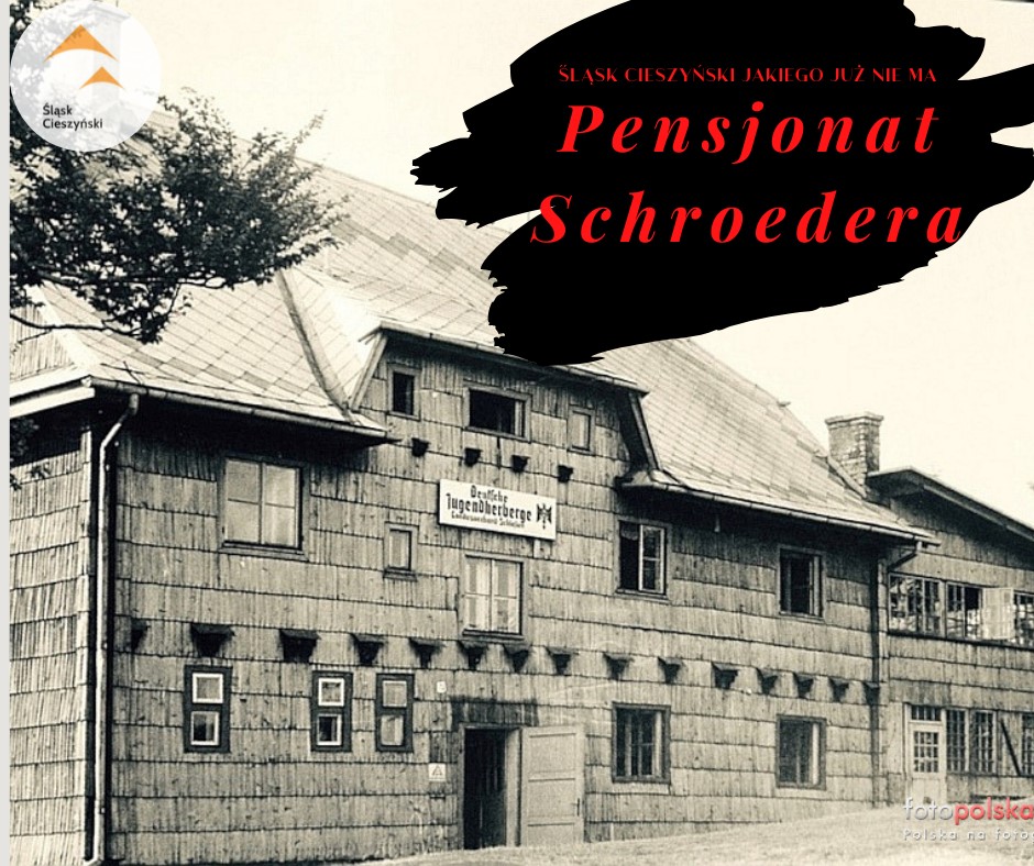 schroeder