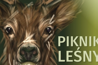 piknik