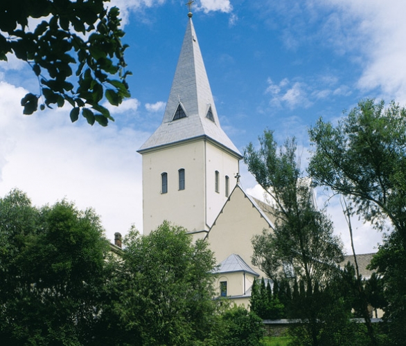 karwina_frysztat_kos